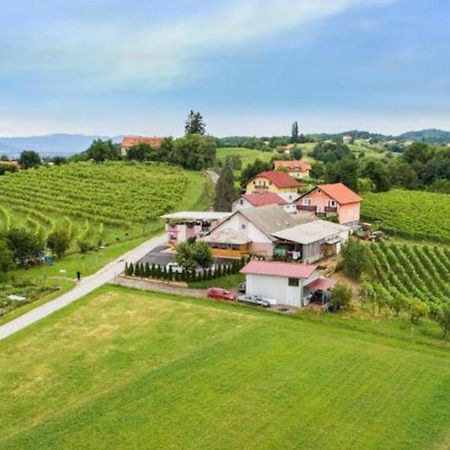 Guesthouse Prenocisca Sirec Ptuj Bagian luar foto