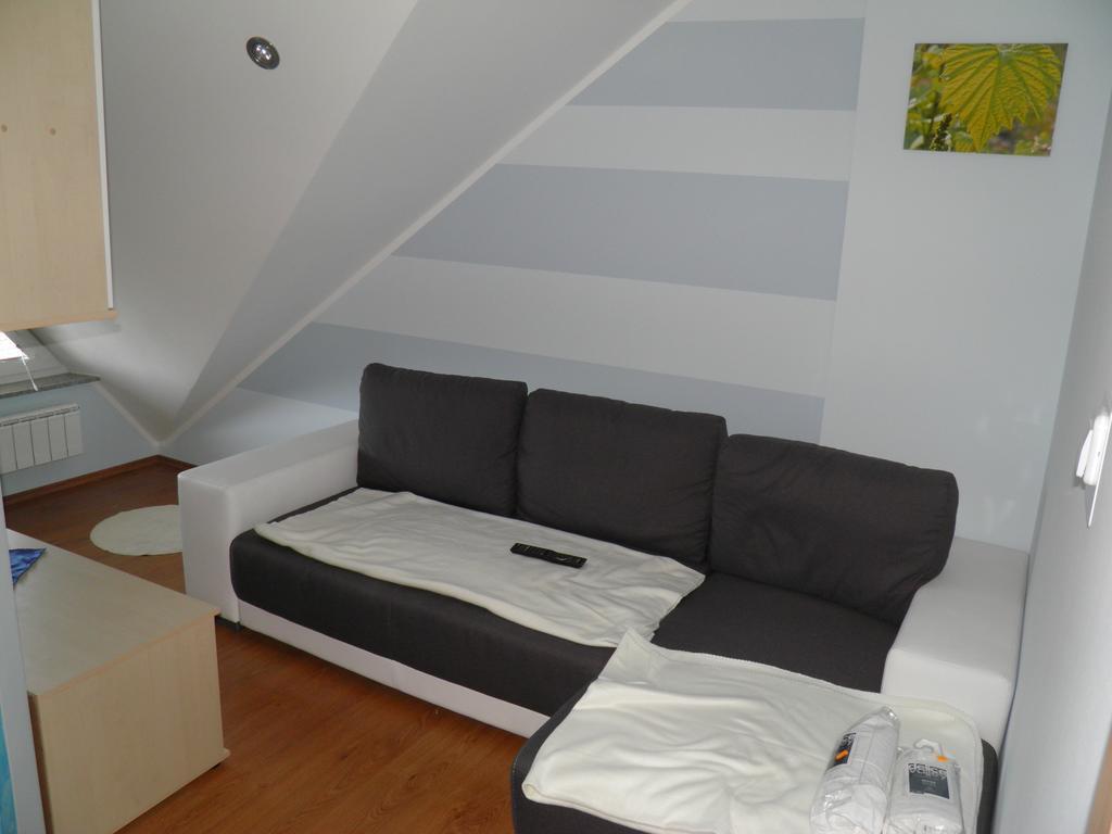 Guesthouse Prenocisca Sirec Ptuj Ruang foto