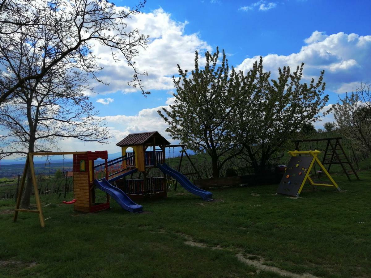Guesthouse Prenocisca Sirec Ptuj Bagian luar foto